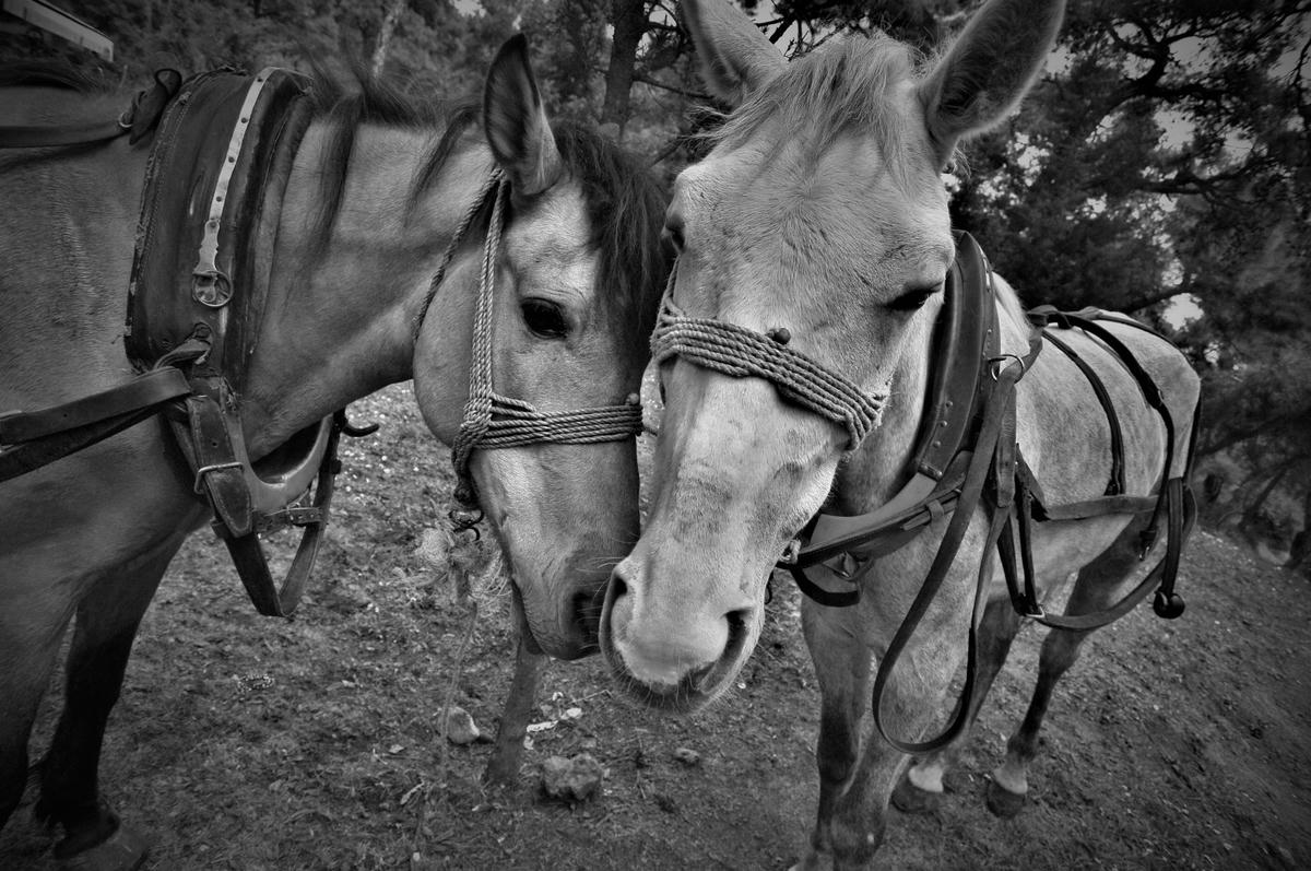 Çocukluk aşkı / lensler konuşabilseydi